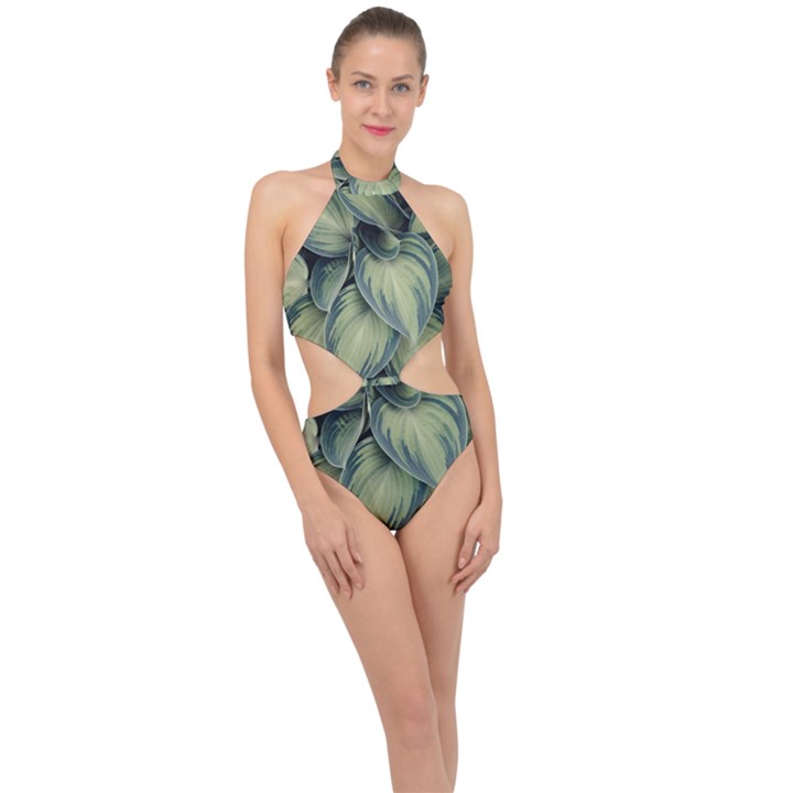 Closeup Photo Of Green Variegated Leaf Plants Halter Side Cut Swimsuit