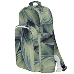 Closeup Photo Of Green Variegated Leaf Plants Double Compartment Backpack