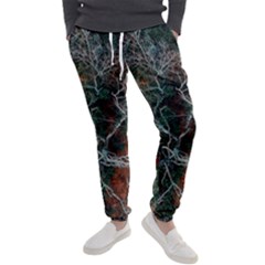 Aerial Photography Of Green Leafed Tree Men s Jogger Sweatpants