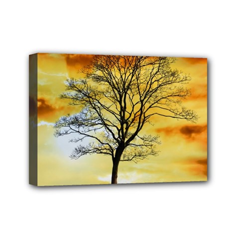 Branches Dawn Dusk Fall Mini Canvas 7  X 5  (stretched) by Pakrebo