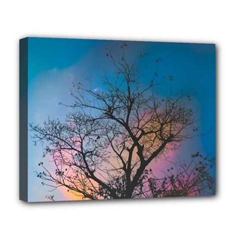 Low Angle Photography Of Bare Tree Deluxe Canvas 20  X 16  (stretched) by Pakrebo