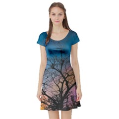 Low Angle Photography Of Bare Tree Short Sleeve Skater Dress