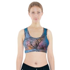 Low Angle Photography Of Bare Tree Sports Bra With Pocket by Pakrebo