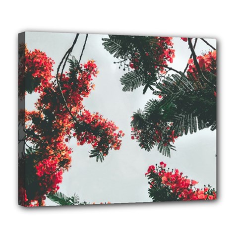 Red Petaled Flowers Deluxe Canvas 24  X 20  (stretched)