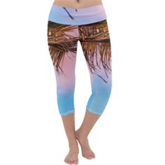 Two Green Palm Leaves On Low Angle Photo Capri Yoga Leggings