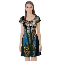 Silhouette Of Trees Short Sleeve Skater Dress