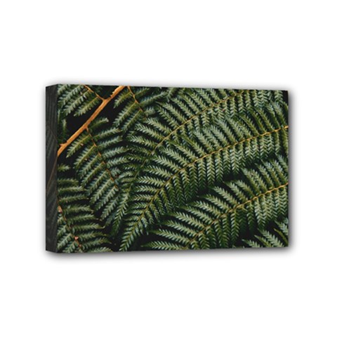 Green Leaves Photo Mini Canvas 6  X 4  (stretched) by Pakrebo