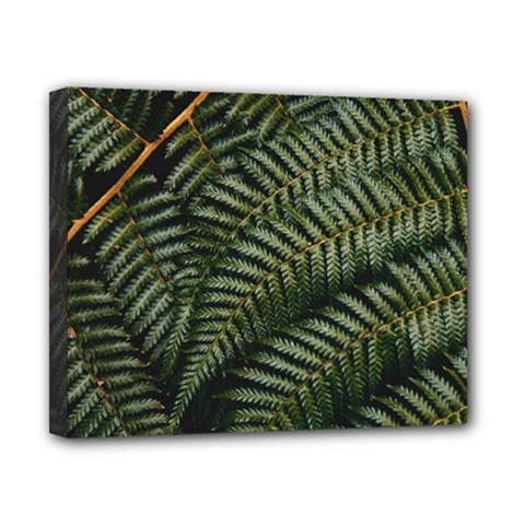 Green Leaves Photo Canvas 10  X 8  (stretched) by Pakrebo