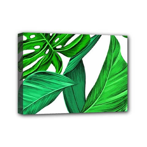 Leaves Tropical Monstera Summer Mini Canvas 7  X 5  (stretched) by Simbadda