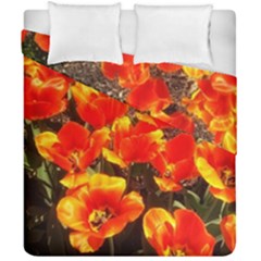 Orange Tulips At The Commons Duvet Cover Double Side (california King Size) by Riverwoman