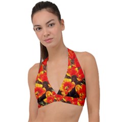 Orange Tulips At The Commons Halter Plunge Bikini Top by Riverwoman