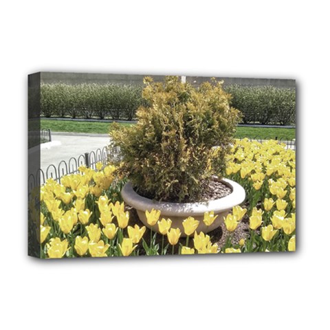 Columbus Commons Yellow Tulips Deluxe Canvas 18  X 12  (stretched) by Riverwoman