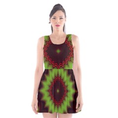 Fractal Artwork Idea Allegory Geometry Scoop Neck Skater Dress by Sudhe