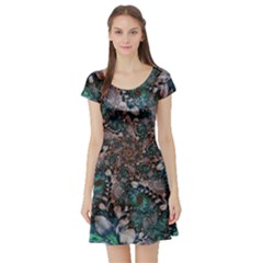 Art Artwork Fractal Digital Art Floral Short Sleeve Skater Dress