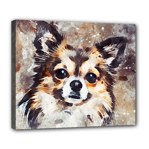 Chihuahua Dog Cute Pets Small Deluxe Canvas 24  X 20  (stretched) by Wegoenart