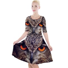 Owl Bird Eyes Eagle Owl Birds Quarter Sleeve A-line Dress