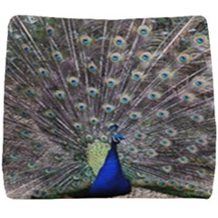 Peacock Bird Feather Plumage Green Seat Cushion by Wegoenart