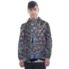 Peacock Bird Feather Plumage Green Men s Front Pocket Pullover Windbreaker