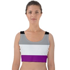 Asexual Pride Flag Lgbtq Velvet Crop Top by lgbtnation