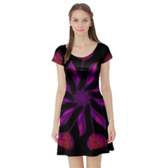 Background Purple Black Red Short Sleeve Skater Dress