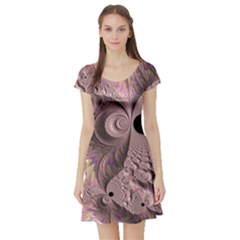 Fractal Tender Rose Cream Short Sleeve Skater Dress