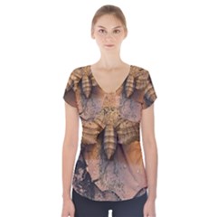 Night Moth Short Sleeve Front Detail Top by Riverwoman