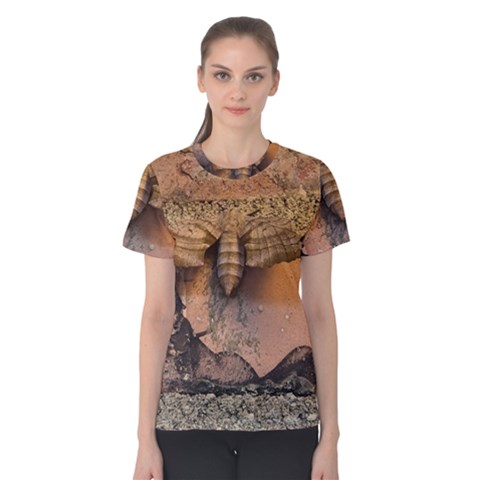 Night Moth Women s Cotton Tee by Riverwoman