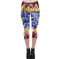 Rainbow Chrysanthemum Capri Leggings  by bloomingvinedesign