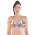 Flag of Tierra del Fuego Province, Argentina Plunge Bikini Top View1