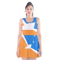 Flag Of Tierra Del Fuego Province, Argentina Scoop Neck Skater Dress by abbeyz71