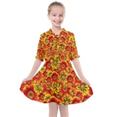 Brilliant Orange And Yellow Daisies Kids  All Frills Chiffon Dress