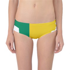 Benin Africa Borders Country Flag Classic Bikini Bottoms by Sapixe