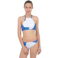 Proposed Flag Of Antarctica Racer Front Bikini Set by abbeyz71