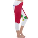 Central African Republic Flag Map Capri Winter Leggings  View3