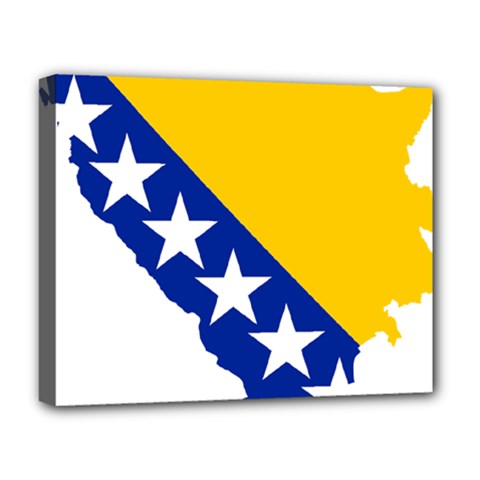 Bosnia And Herzegovina Country Deluxe Canvas 20  X 16  (stretched)