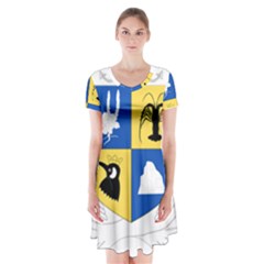 Coat Of Arms Of The French Southern And Antarctic Lands Short Sleeve V-neck Flare Dress by abbeyz71