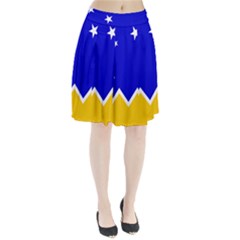 Flag Of Magallanes Region, Chile Pleated Skirt by abbeyz71