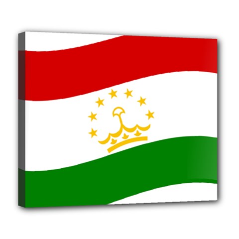 Flag Iran Tajikistan Afghanistan Deluxe Canvas 24  X 20  (stretched) by Sapixe