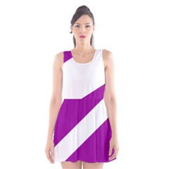 Flag Of Puerto Williams Scoop Neck Skater Dress by abbeyz71