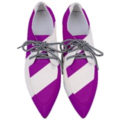 Flag Of Puerto Williams Women s Pointed Oxford Shoes by abbeyz71