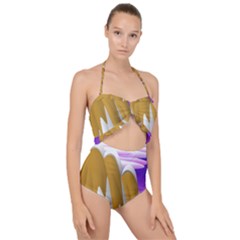 Europa Positive Thinking Mountain Scallop Top Cut Out Swimsuit by Pakrebo