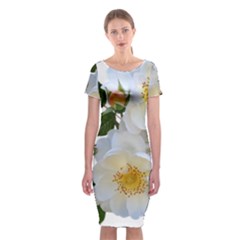 Roses Stamens Pollen Buds White Classic Short Sleeve Midi Dress by Pakrebo