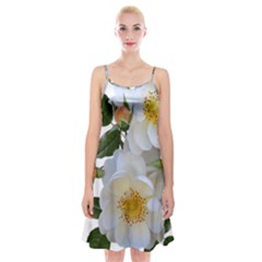 Roses Stamens Pollen Buds White Spaghetti Strap Velvet Dress by Pakrebo