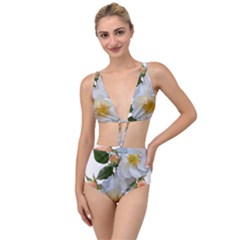 Roses Stamens Pollen Buds White Tied Up Two Piece Swimsuit by Pakrebo