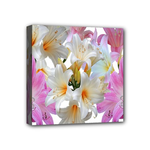 Lilies Belladonna Easter Lilies Mini Canvas 4  X 4  (stretched) by Simbadda