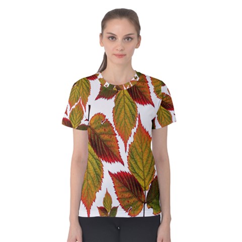 Leaves Autumn Fall Colorful Women s Cotton Tee by Simbadda
