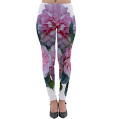 Roses Pink Flowers Arrangement Lightweight Velour Leggings by Simbadda