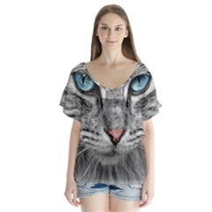 Cat Animal Cat Portrait Mackerel V-neck Flutter Sleeve Top by Sudhe