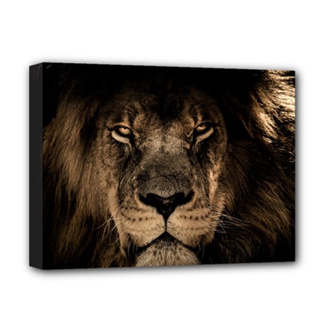 African Lion Wildcat Mane Closeup Deluxe Canvas 16  X 12  (stretched) 
