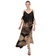 African Lion Wildcat Mane Closeup Maxi Chiffon Cover Up Dress by Sudhe